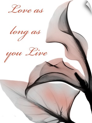Love Long