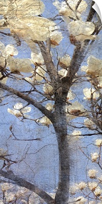 Magnolia Panel I