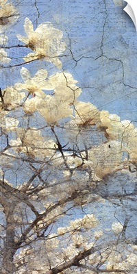 Magnolia Panel II