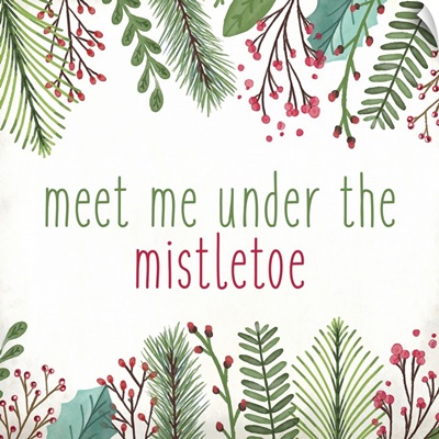 Meet Me Under The Mistletoe