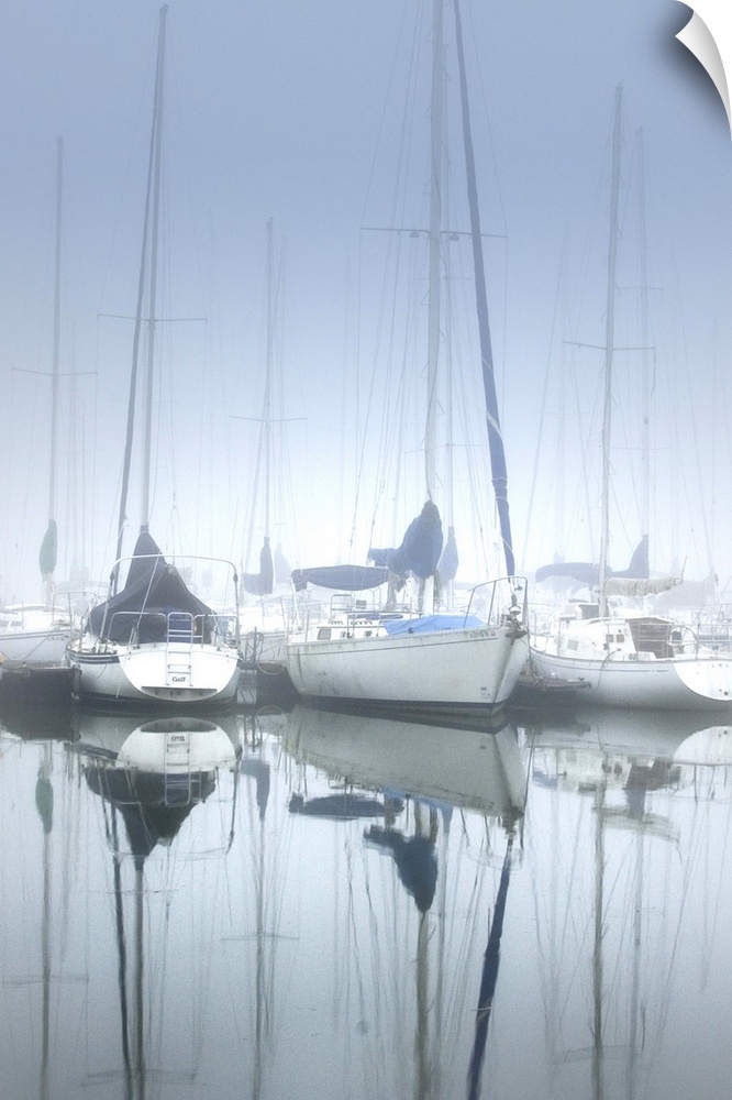 Several sailboats on calm waters in a harbor on a foggy morning.
