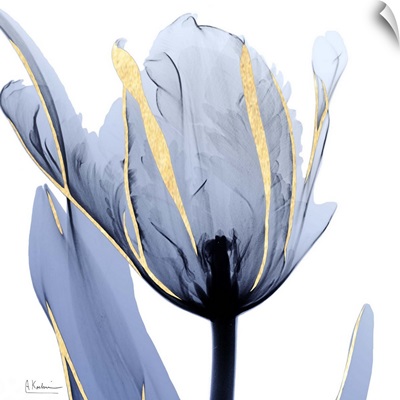 Moonlit Tulip