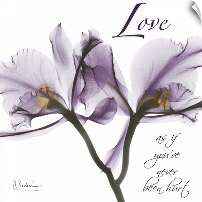 Orchid Love x-ray photography