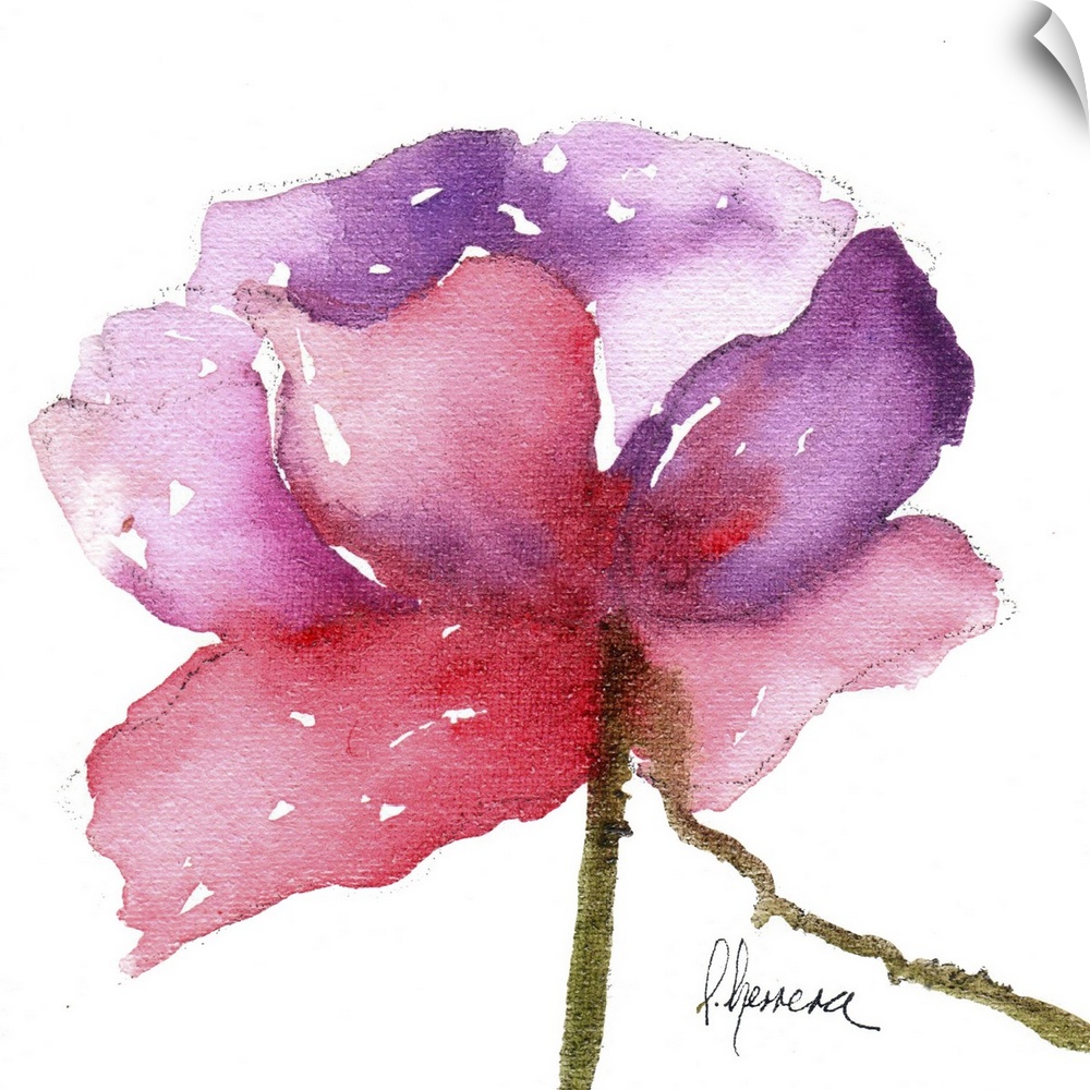Contemporary watercolor painting of a vibrant pink flower against a white background.