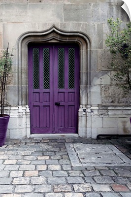 Purple Door IV