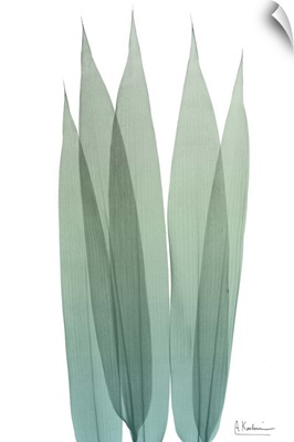 Radiant Bamboo Leaf I