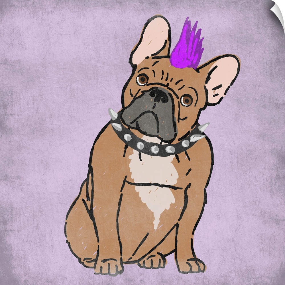 A painting of a frenchie with a fuchsia mow-hawk and a spiked collar.