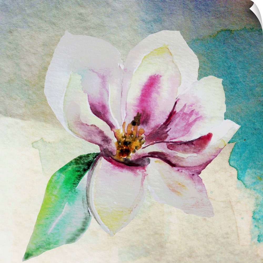 Square watercolor painting of a single magnolia flower in shades of pink, yellow, white, and green on an abstract background.