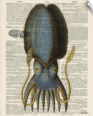 Squid I