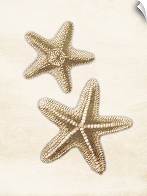 Starfish Gold