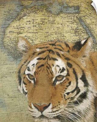 Tiger on Africa map