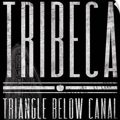 Tribeca, Triangle Below Canal