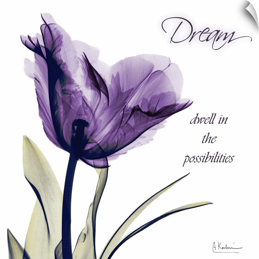 X-ray photo of a tulip flower against a white background with an inspirational quote.