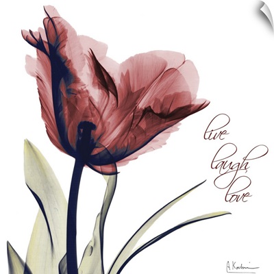 Tulip Live, Laugh, Love x-ray photography