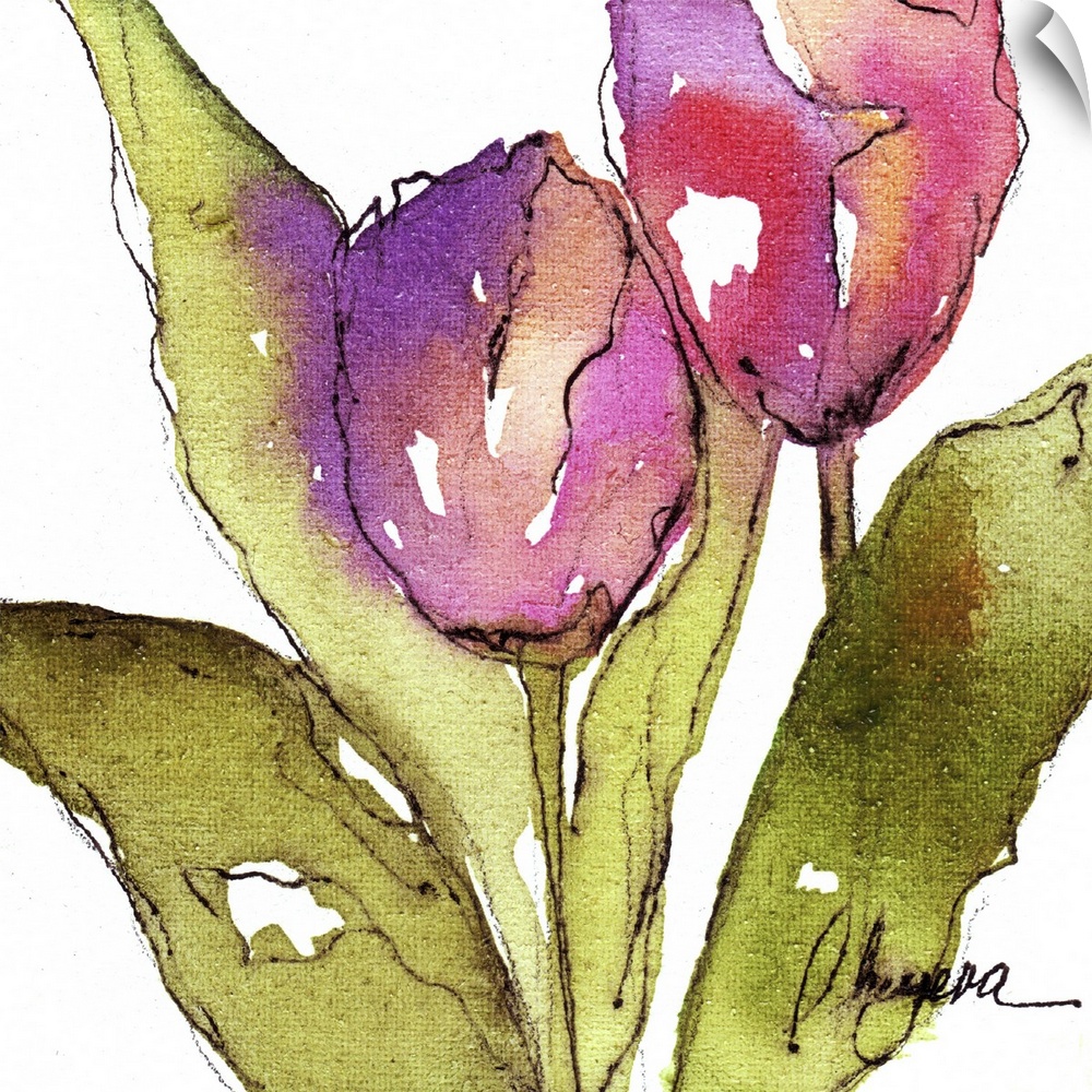 Two pink tulips with broad green leaves in watercolor and ink.
