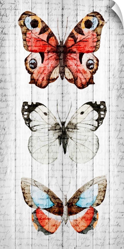Three butterflies painted vertically on a wooden paneled background with faded handwriting on top.