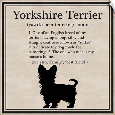 Yorkshire Terrier