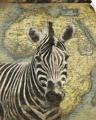 Zebra on Africa map