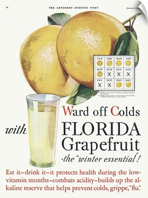 Florida Grapefruit Advertisement