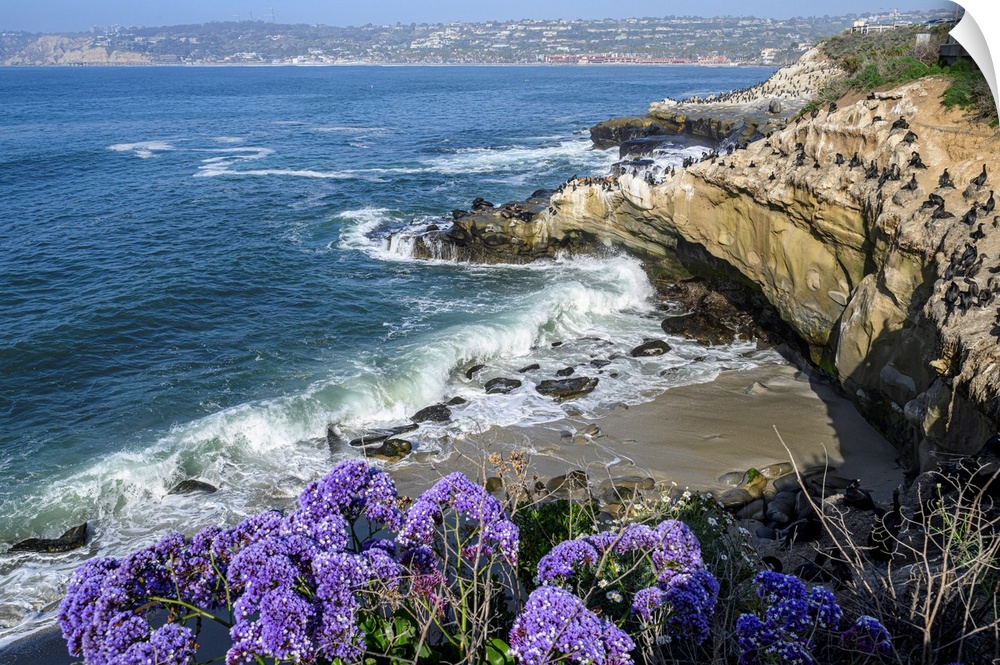 This is stunning La Jolla, California. La Jolla is in San Diego County and features breathtaking beaches and shoreline walks.