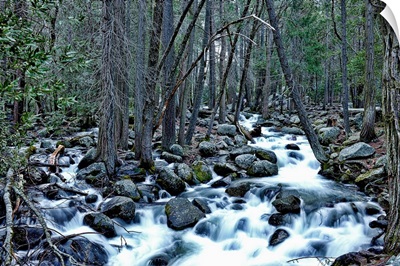 Rivers flowing in Yosemite