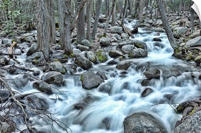 Rivers flowing in Yosemite