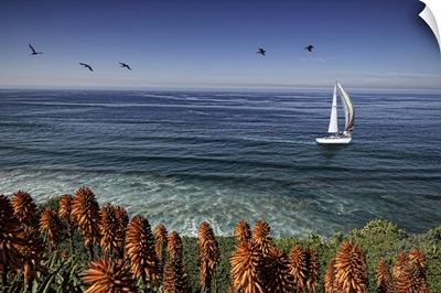 San Diego Coastal