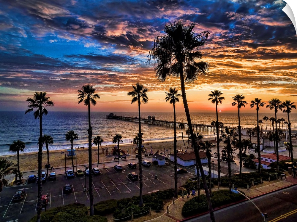 A single image aerial sunset capture of tall palms silhouetted against colorful clouds near Oceanside, California, USA.