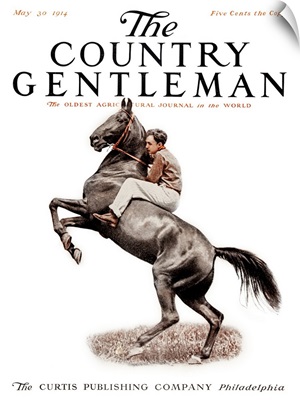 A boy rides a horse bareback