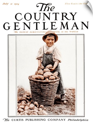 A boy with a basket of potatoes