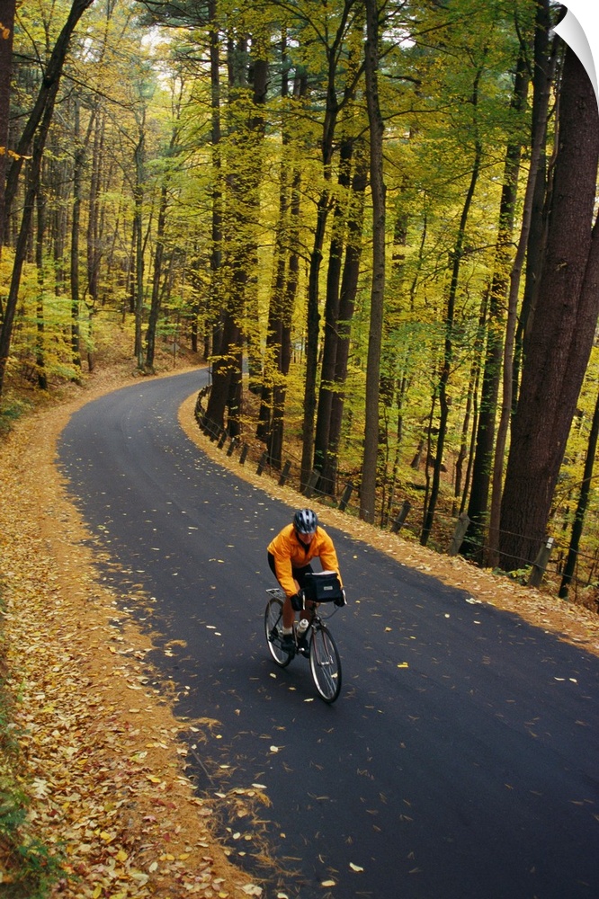A cyclist rides along a rural road in the fall.