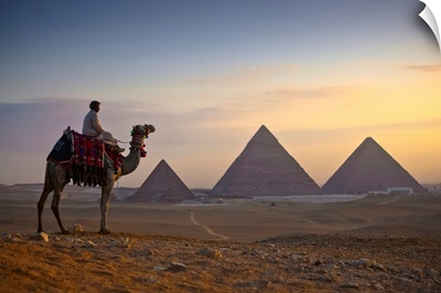 A lone camel and rider, Giza, Egypt