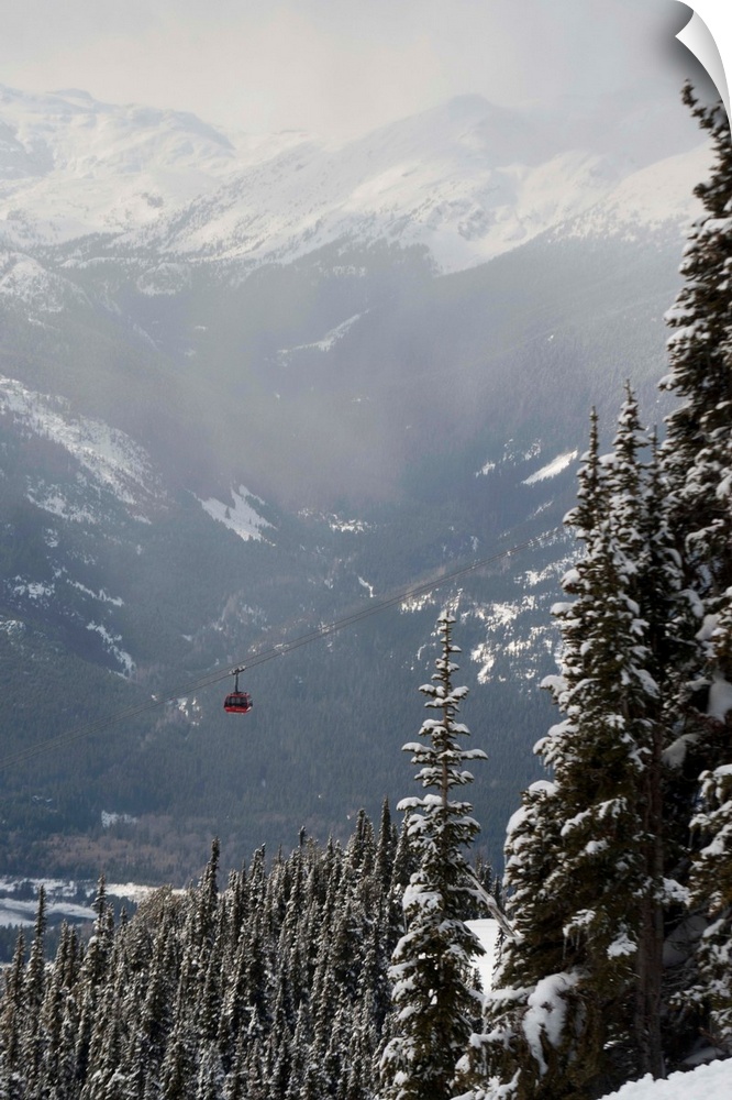 A Red Cable Car Riding Over Snow Covered Forest, Whistler, BC, Canada