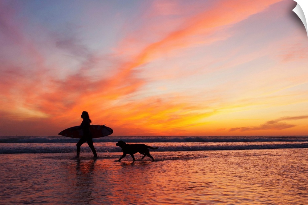 A Surfer Walks In Shallow Water With Her Dog At Sunset, Andalusia, Spain