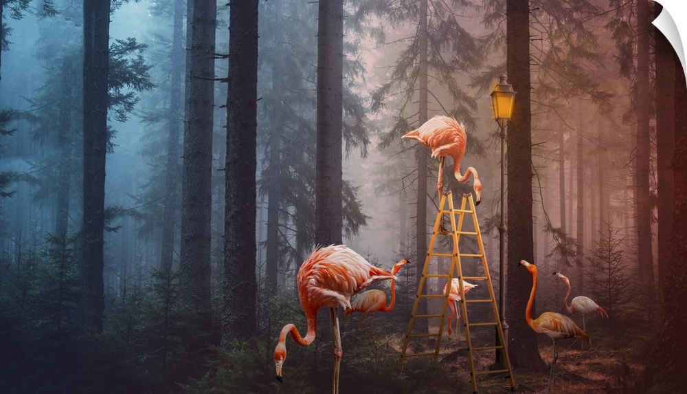 A surreal composite image of flamingoes in a forest with a ladder and lamp post.