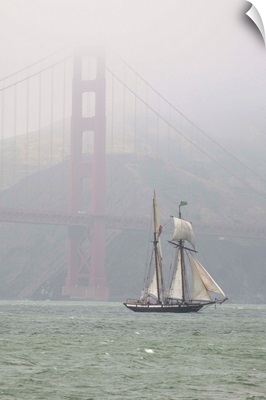 A two masted schooner sails under the Golden Gate Bridge.; San Francisco, California.