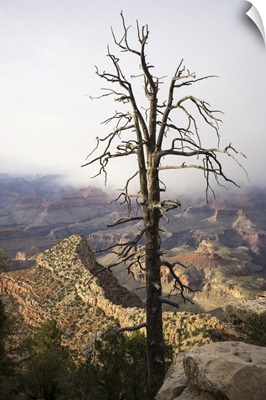 A View Of The Grand Canyon From Grandview Point., Grand Canyon National Park, Arizona