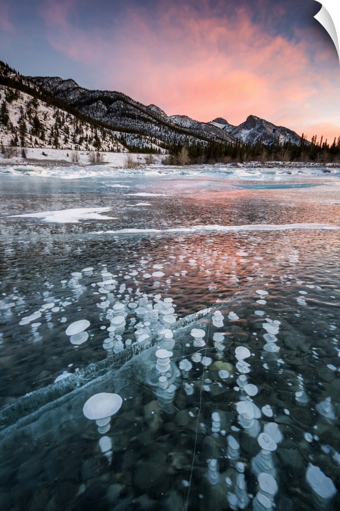 Abraham Lake in winter with frozen methane bubbles in The Canadian Rockies.