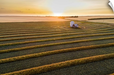Aerial Views Of Canola Harvest Lines Glowing At Sunset, Blackie, Alberta, Canada