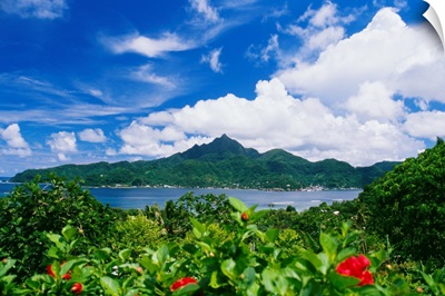 American Samoa, Pago Pago Harbor, Greenery And Flowers, Clouds I