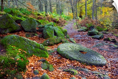 An Abandoned Millstone Along A Path In Peak District National Park; Derbyshire, England