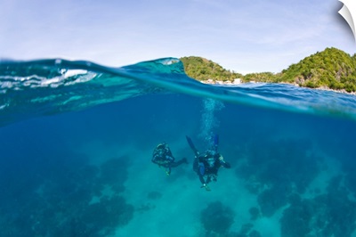 Apo Island Marine Park, Negros Oriental Island Philippines, Southeast Asia, Scuba Divers