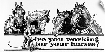 Are you working for your horses?