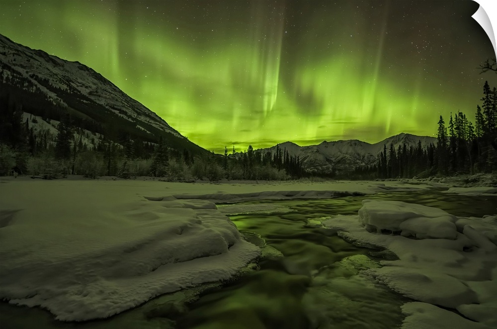 Aurora Borealis or Northern light up the Yukon night skies; Yukon, Canada.
