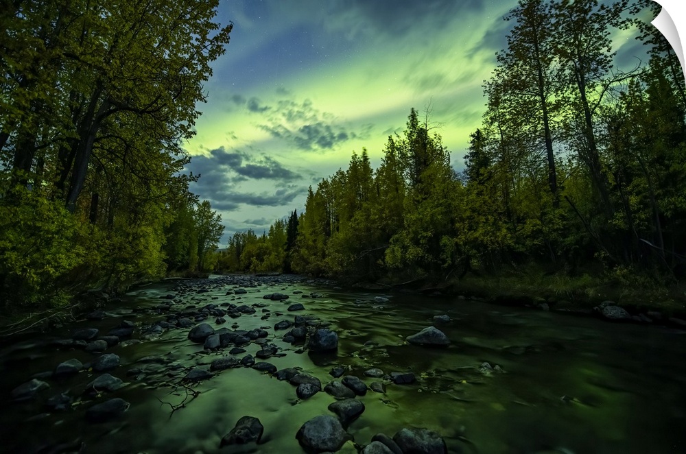 Aurora Borealis, or Northern Lights, light up the Yukon night skies along the Dempster Highway; Yukon, Canada.