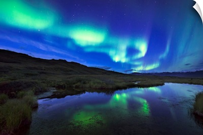 Aurora borealis over a pond in Denali National Park and Preserve, Alaska