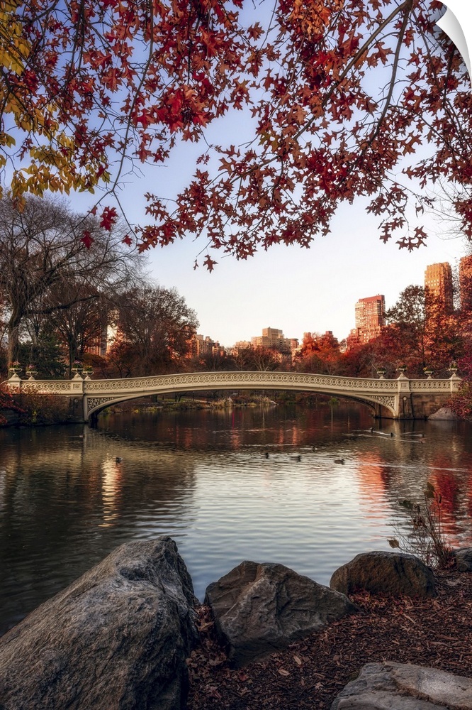 Autumn coloured foliage around Bow Bridge, Central Park, New York City, New York, United States of America