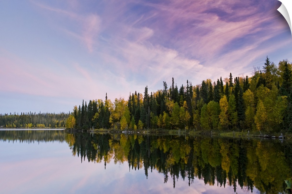 Autumn coloured foliage on the trees surrounding Dickens Lake at sunset; Saskatchewan, Canada
