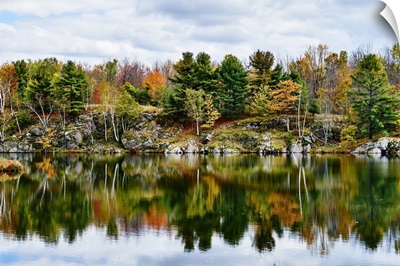 Autumn Colored Foliage, Frontenac Provincial Park, Ontario, Canada
