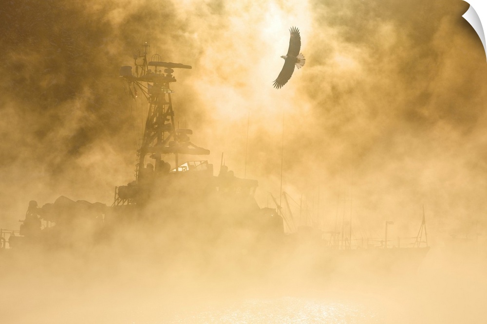 Bald Eagle Soars Over Auke Bay Harbor With Ice Fog Obscuring Docked Vessel At Juneau Alaska. Composite